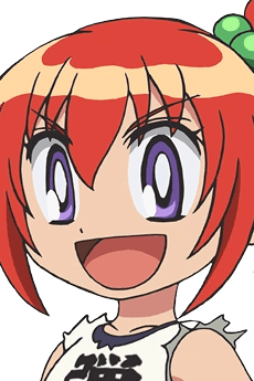 Danko Ichigeki