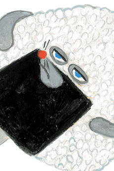 Onigiri Boy
