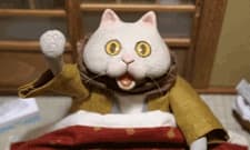 Kotatsu Neko (ONA)