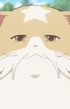 Yondaime Moshamosha