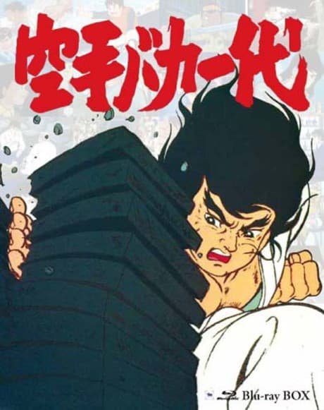 Karate Baka Ichidai